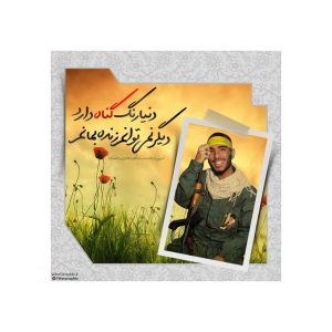 پوستر شهید هادی ذوالفقاری " دنیا رنگ گناه دارد ... "